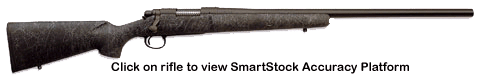 Click on rifle to view the SmartStock Accuracy Platform